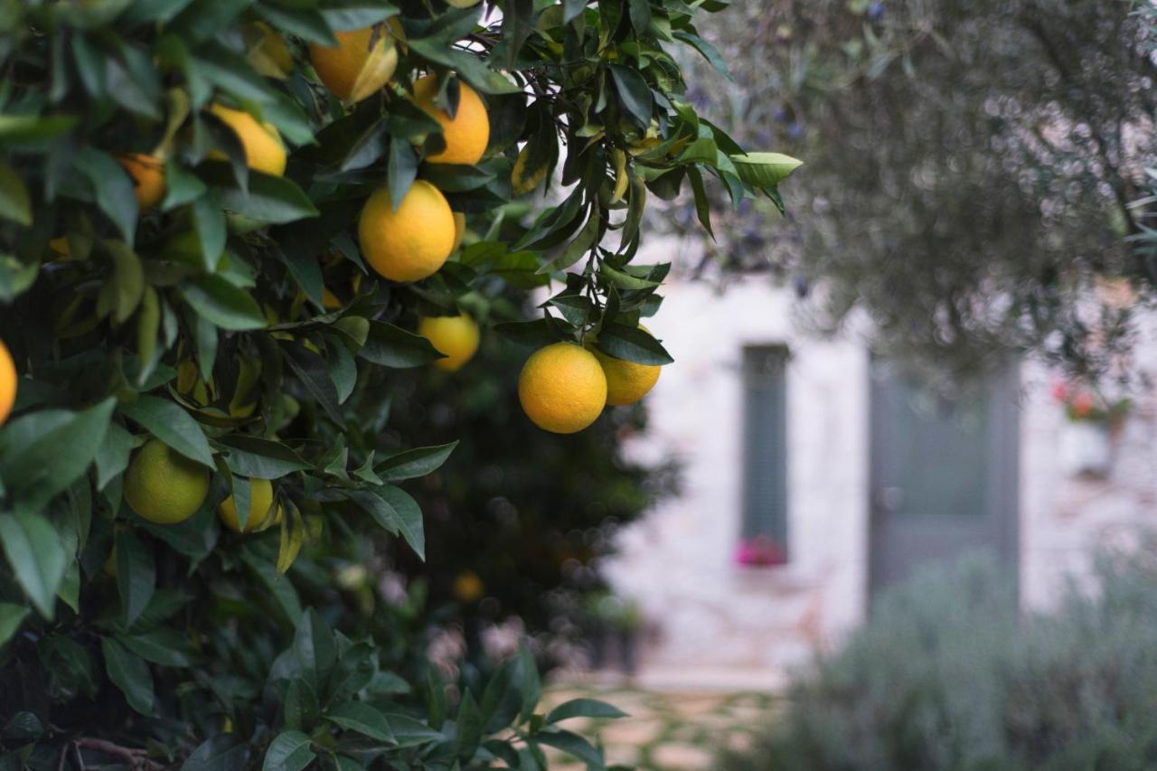 Opora Country Living Guest House Nafplio Exterior photo