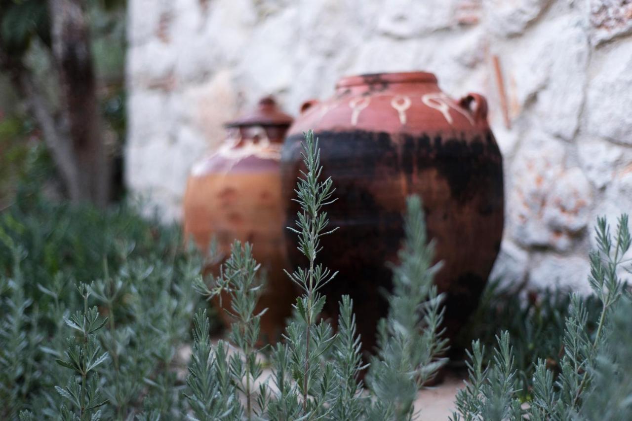 Opora Country Living Guest House Nafplio Exterior photo