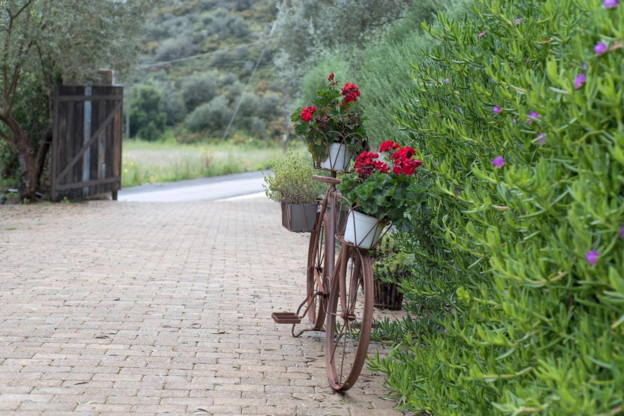 Opora Country Living Guest House Nafplio Exterior photo