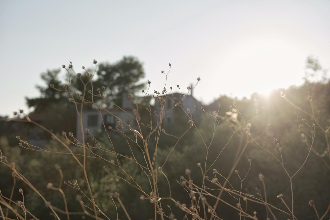 Opora Country Living Guest House Nafplio Exterior photo