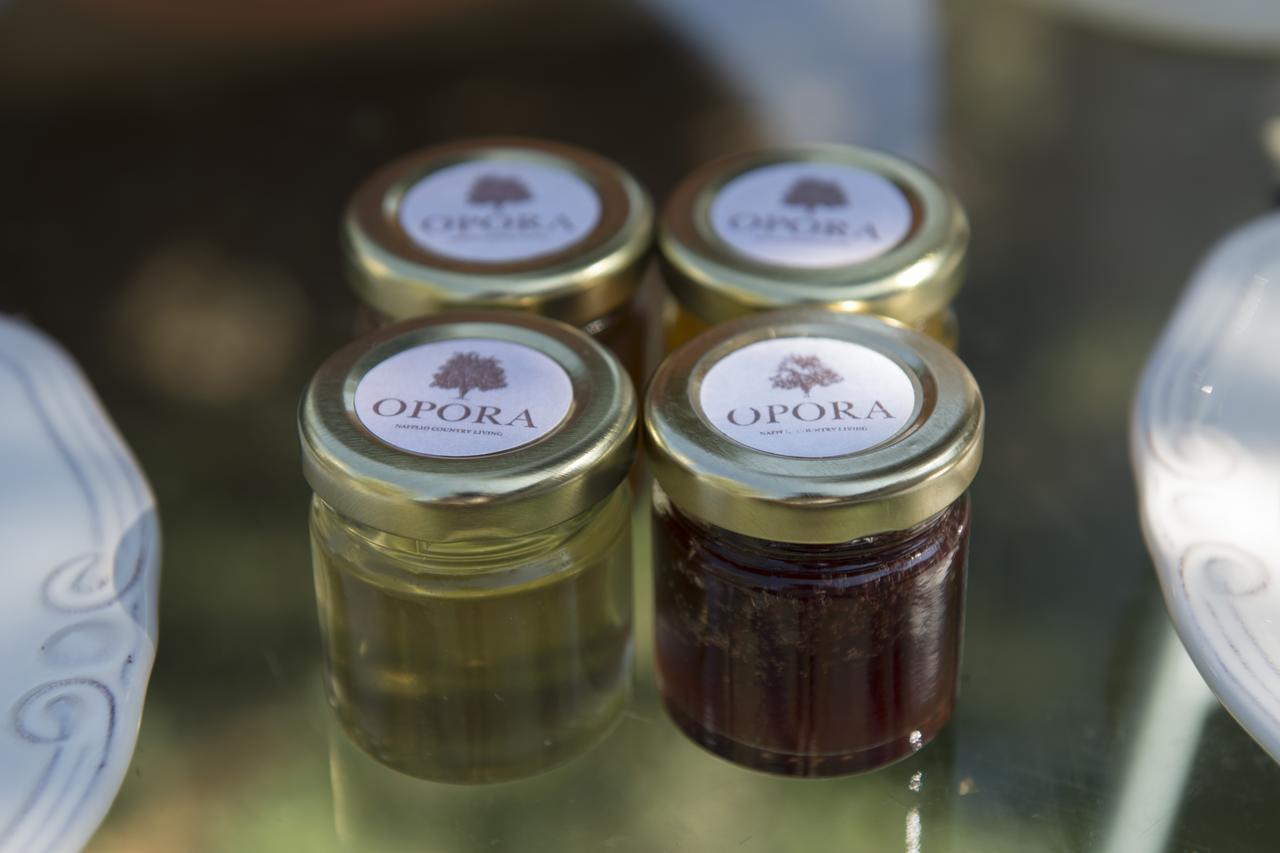 Opora Country Living Guest House Nafplio Exterior photo