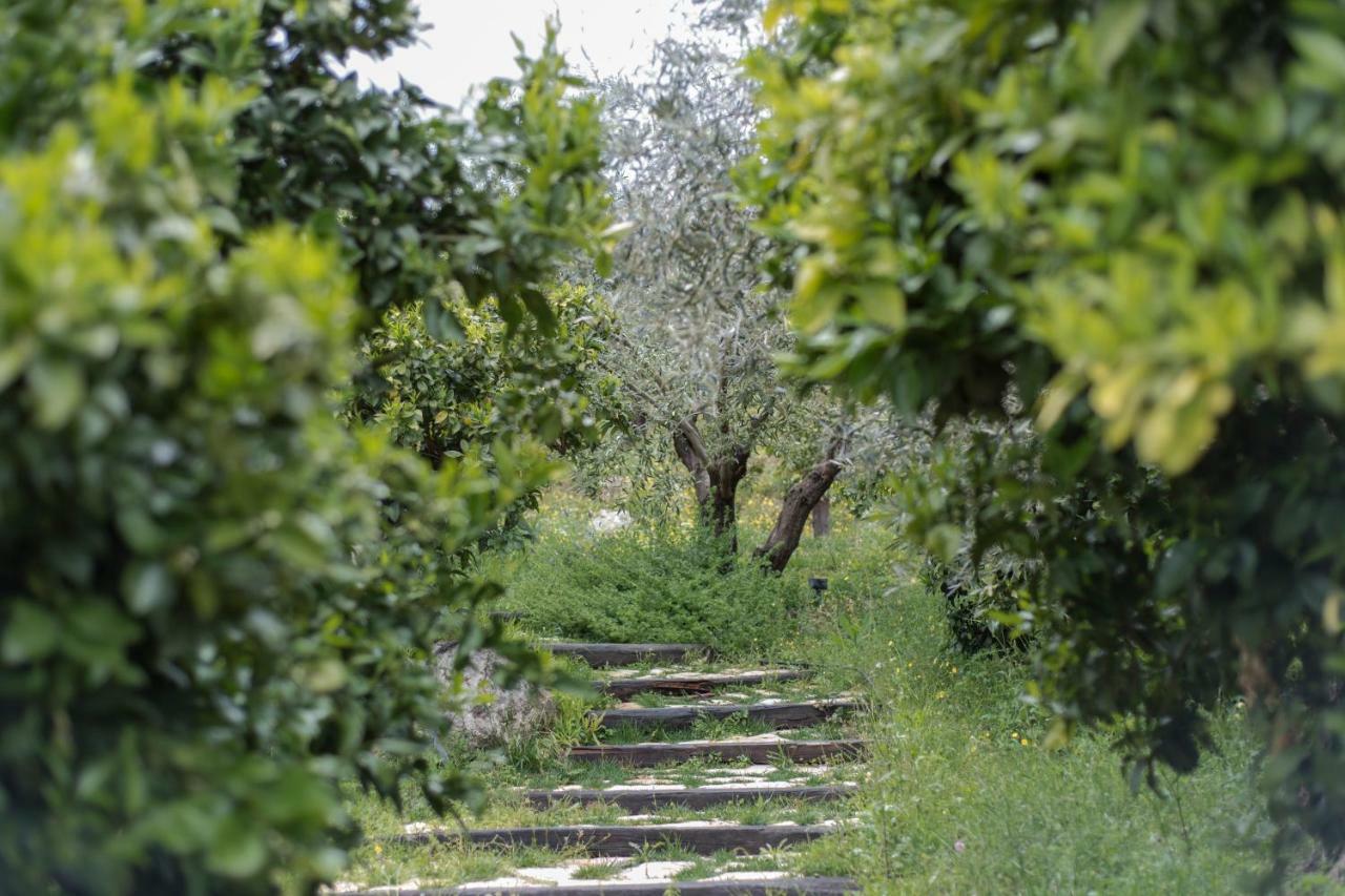 Opora Country Living Guest House Nafplio Exterior photo